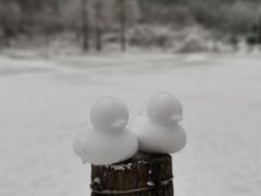 -武陵山森林公园
