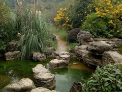 -铁山坪森林公园