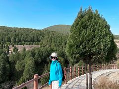 -龙洞风景区-藏龙涧