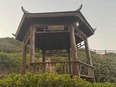 -杨梅坑