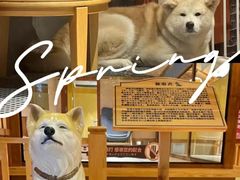 -大江户·温泉洗浴(浑南店)