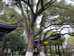 -范蠡湖公园