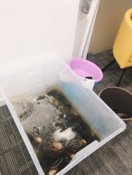 -邵老师打金·黄金加工(大望路总店)