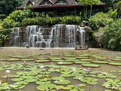 -中国科学院西双版纳热带植物园