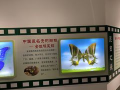-上海昆虫博物馆