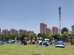 -菊园百果园