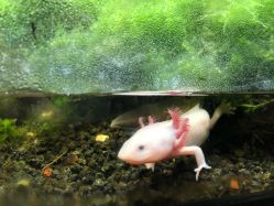 -酷嗒动物文化乐园(cutezoo西溪乐天城店)