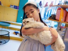 -飞行喵MR PILOT|猫舍·猫咖(静安大融城店)