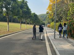 -东莞植物园