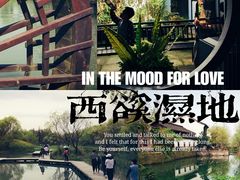 -西溪国家湿地公园