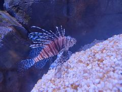 -成都浩海立方海洋公园