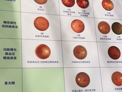 -宝岛眼镜·星创视光中心(百联世纪购物中心店)