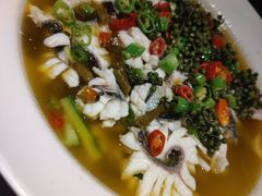 -三猫黑鱼花(南大店)