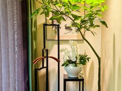 -王府茶宴(大观园总店)