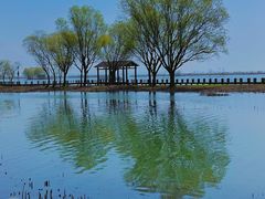 -苏州太湖国家湿地公园