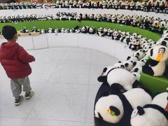 -秦皇岛野生动物园