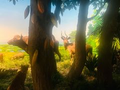 -国家自然博物馆