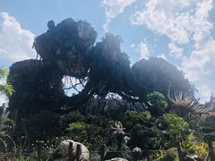 -奥兰多迪士尼动物王国乐园