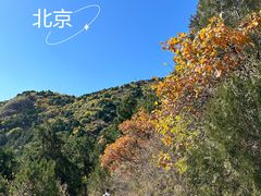 -北京西山国家森林公园