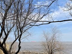 -上海吴淞炮台湾国家湿地公园