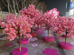 -金茂览秀城