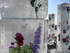 -长春市南湖公园