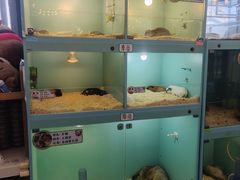 -FAIRYLAND龙族星球主题餐厅(凯丹广场店)