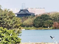 -海珠湖公园
