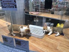 -火地铁板烧(昆山万象汇店)