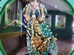 -上海昆虫博物馆