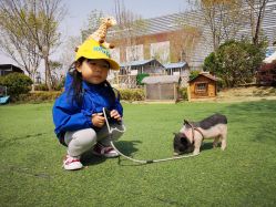 -萌宠亲子动物乐园(槐房万达店)