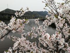 -嘉悦汗蒸时代(曙光路店)