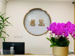 -慈蕊美容养生·专业经络调理