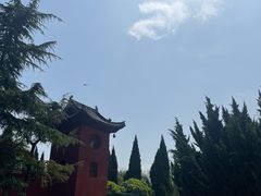 -洛阳白马寺