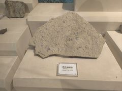 -辽宁古生物博物馆