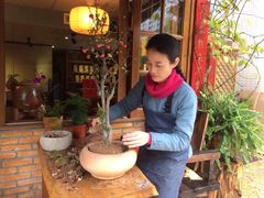 -菩提书坊(侨福大厦店)