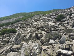 -秦岭风景区