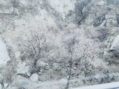 -少华山国家森林公园