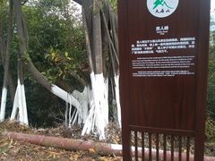 -大雁山风景区