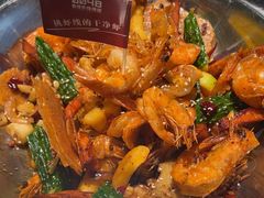 -0048鲜活香辣虾·火锅(铜陵路店)