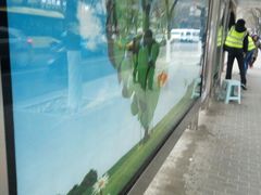 -北京中医药大学东方医院(方庄院区)