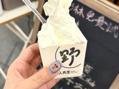 -野人先生Gelato(上海长宁龙之梦店)