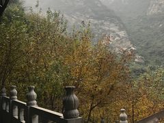 -少华山国家森林公园