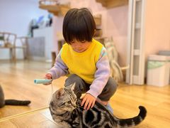 -猫咪派对(江南西店)