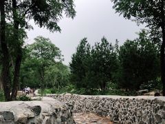 -阳台山自然风景区