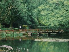 -望江楼公园