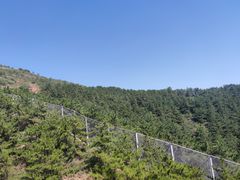 -大青山野生动物园