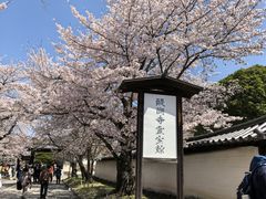 -醍醐寺