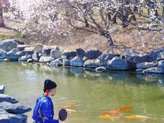 -圆明园遗址公园-藻园门售票处