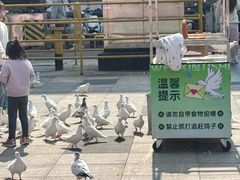 -江燕路万科里